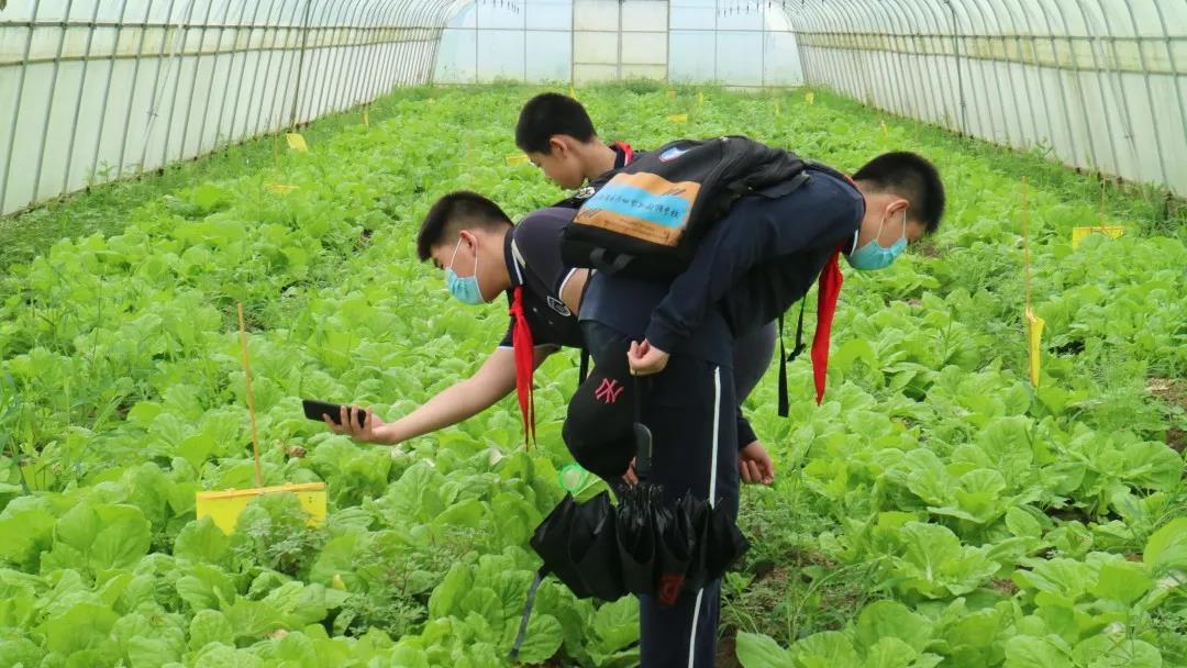 在青林翠竹中挥斥方遒
